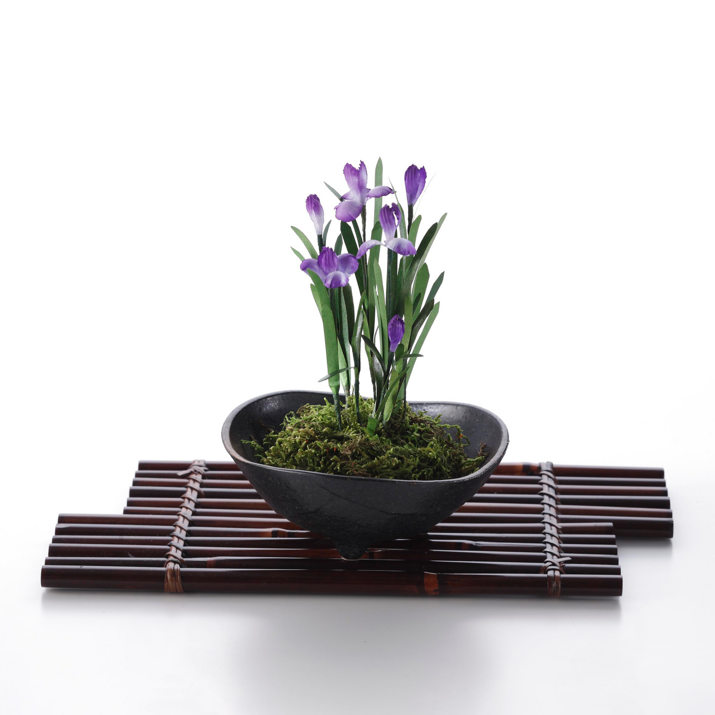 ミニ菖蒲(アヤメ)アレンジメント