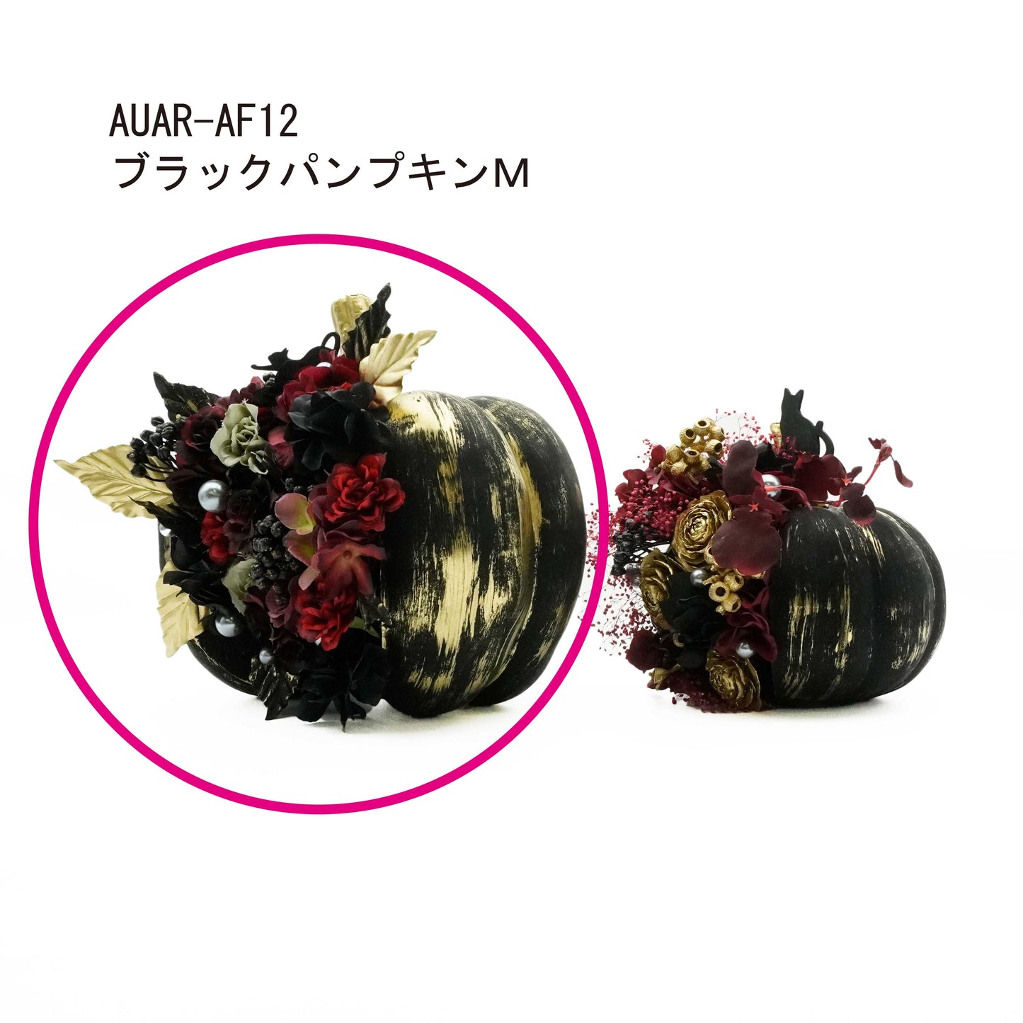 ブラックパンプキンM