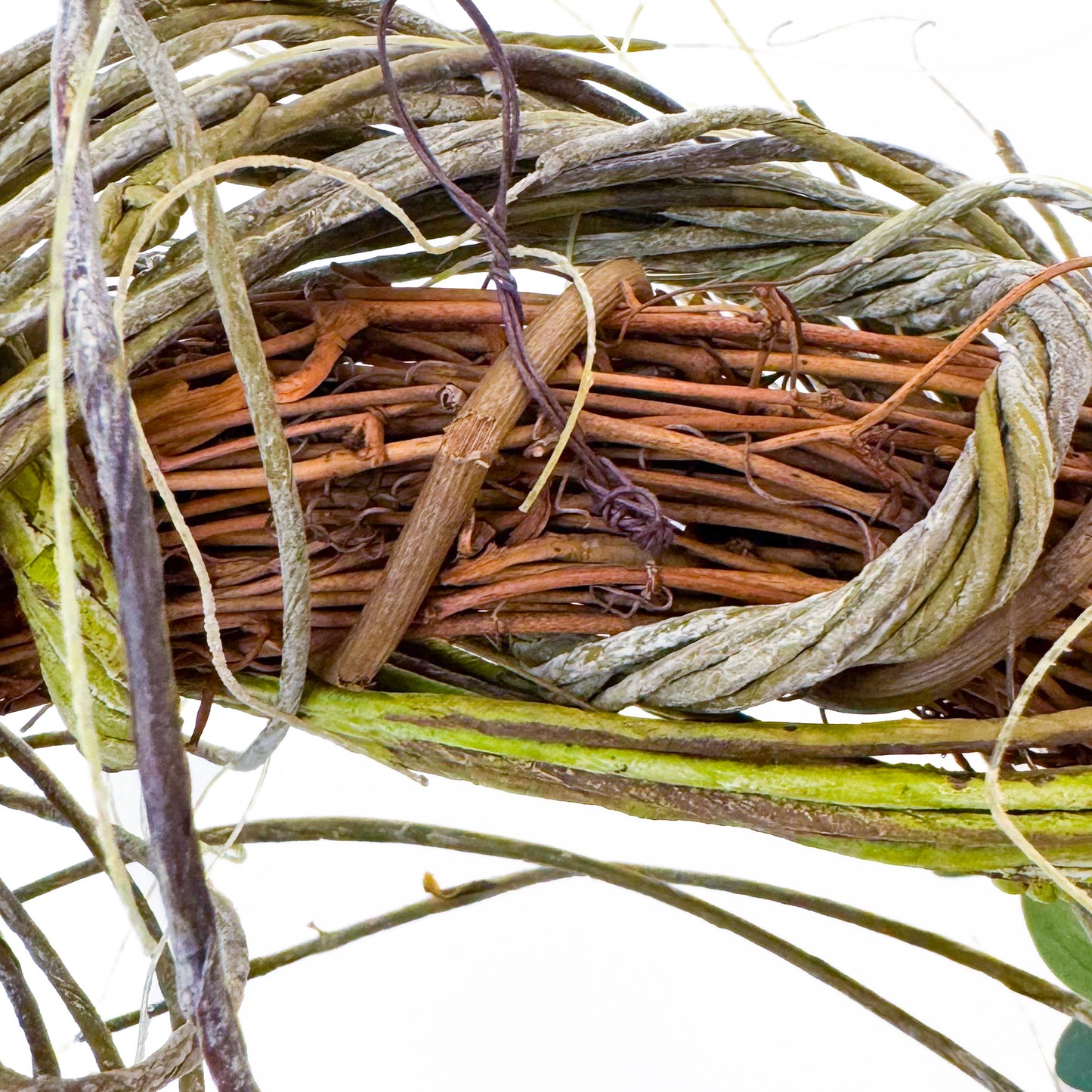 クリスマスリース【グリーンアレンジメント】