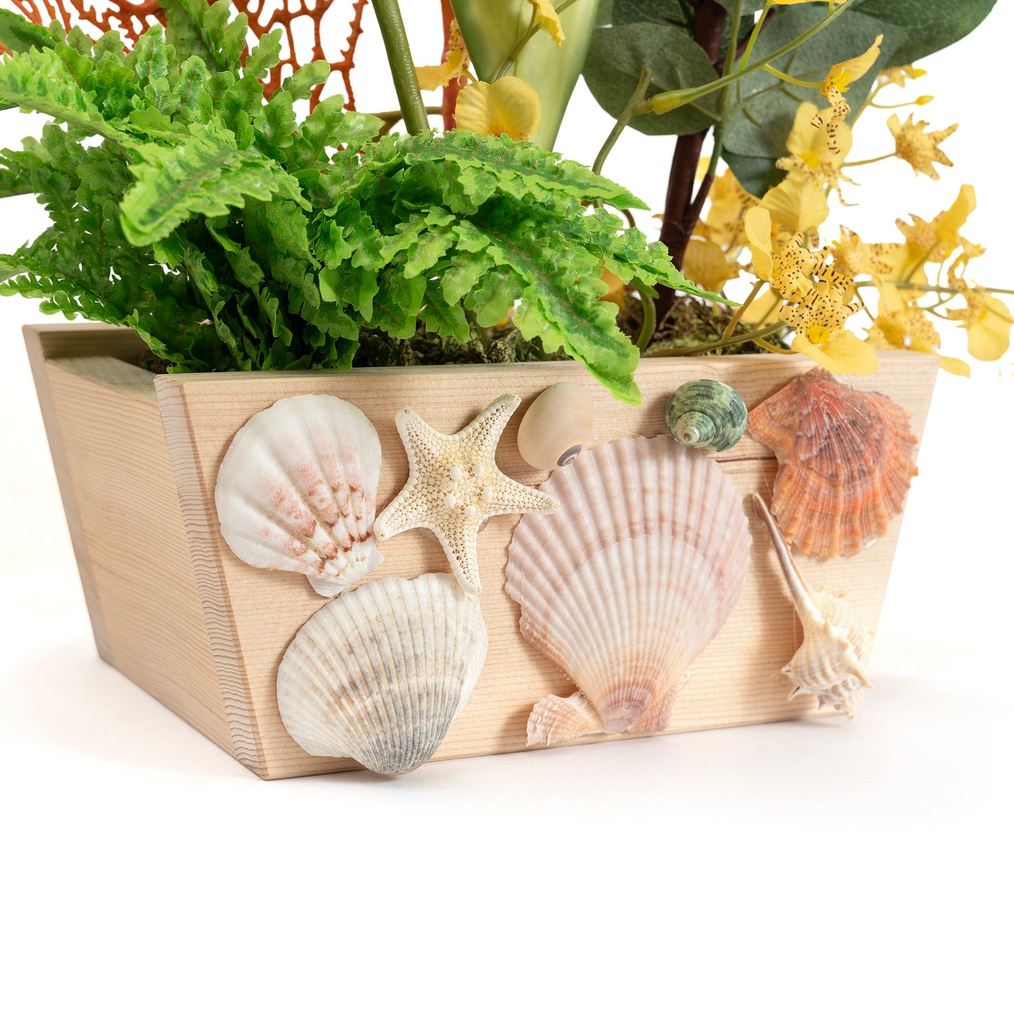 サンゴ アレンジメント