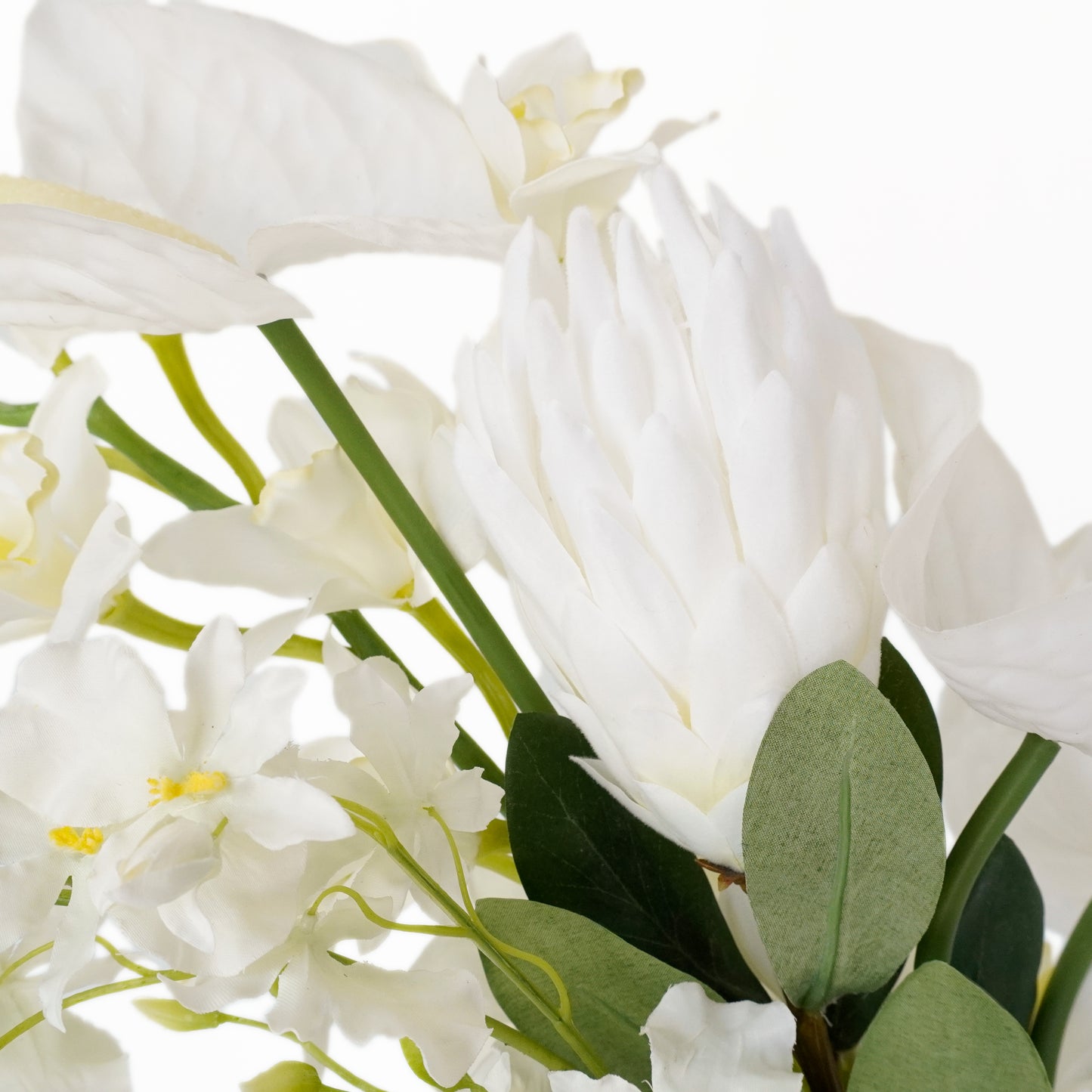 ホワイトカラーブーケ:プロテア